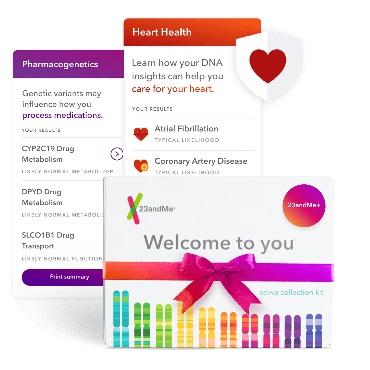 23andMe plus saliva collection Kit with example reports Pharmacogenetics and Heart Health. Pharmacogenetics report displays genetic variants that may influence how you process medications. Example results include: CYP2C19 Drug Metabolism likely normal metabolizer, DPYD Drug Metabolism likely normal metabolizer, and SLCO1B1 Drug Transport likely normal function. Heart Health report displays how your DNA insights can help you care for your heart. Example results include: Atrial Fibrillation typical likelihood, Coronary Artery Disease typical likelihood.